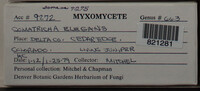 Image Associated With the Occurence